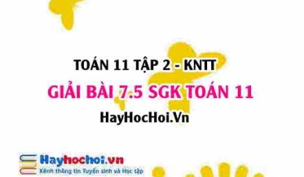Bài 7.5 SGK Toán 11 Tập 2 Kết nối tri thức